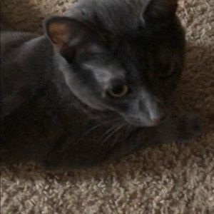 Meet your Posher, Chelsea